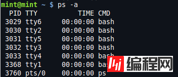 Output of "ps -a" command