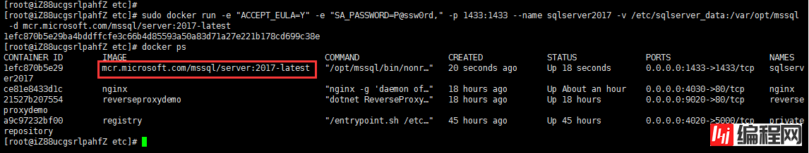 Linux系统通过Docker安装SQLServer数据库