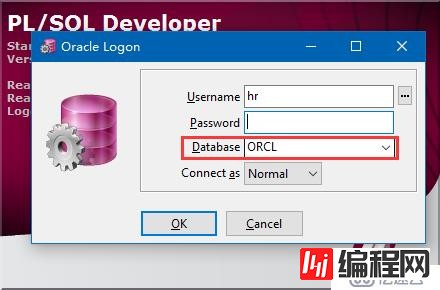 使用PLSQL Developer 连接远程oracle实例