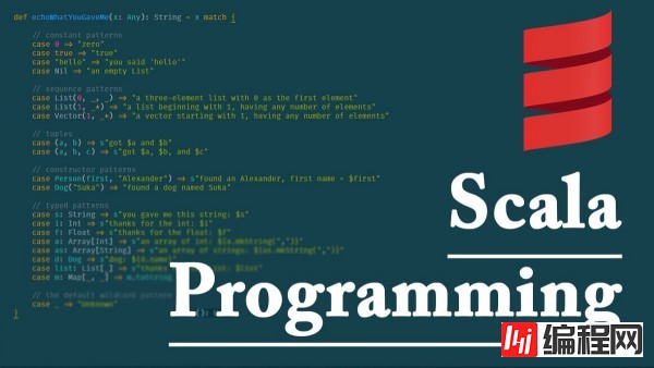 Go和Scala等编程语言的区别有哪些