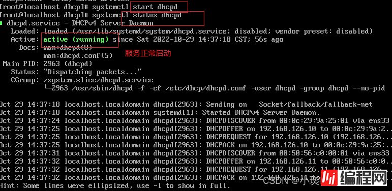 Linux搭建DHCP服务器的详细过程