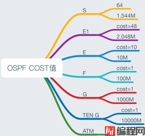 OSPF详解-3 邻接、度量值