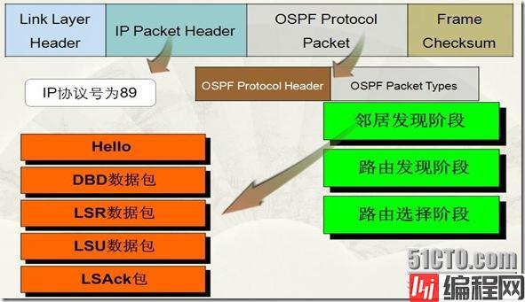 OSPF协商过程1