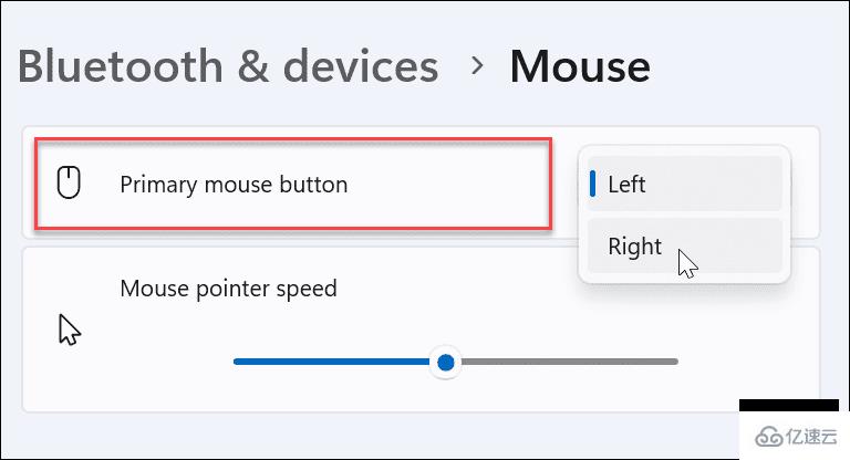 怎么在Windows11和10中使鼠标左撇子