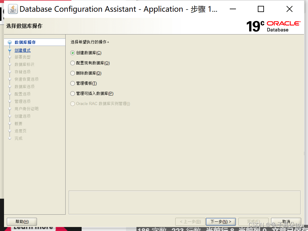 Oracle 19c创建数据库的完整步骤(详细明了)
