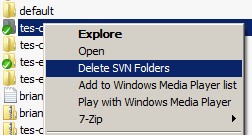 Windows下.svn文件夹的最简易删除方法