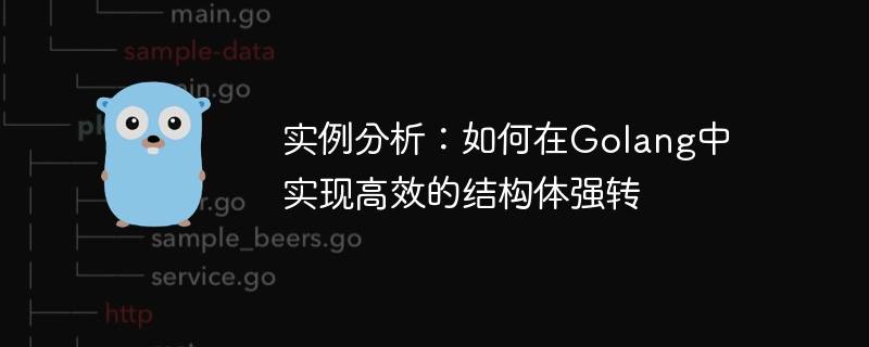 实例分析:如何在Golang中实现高效的结构体强转